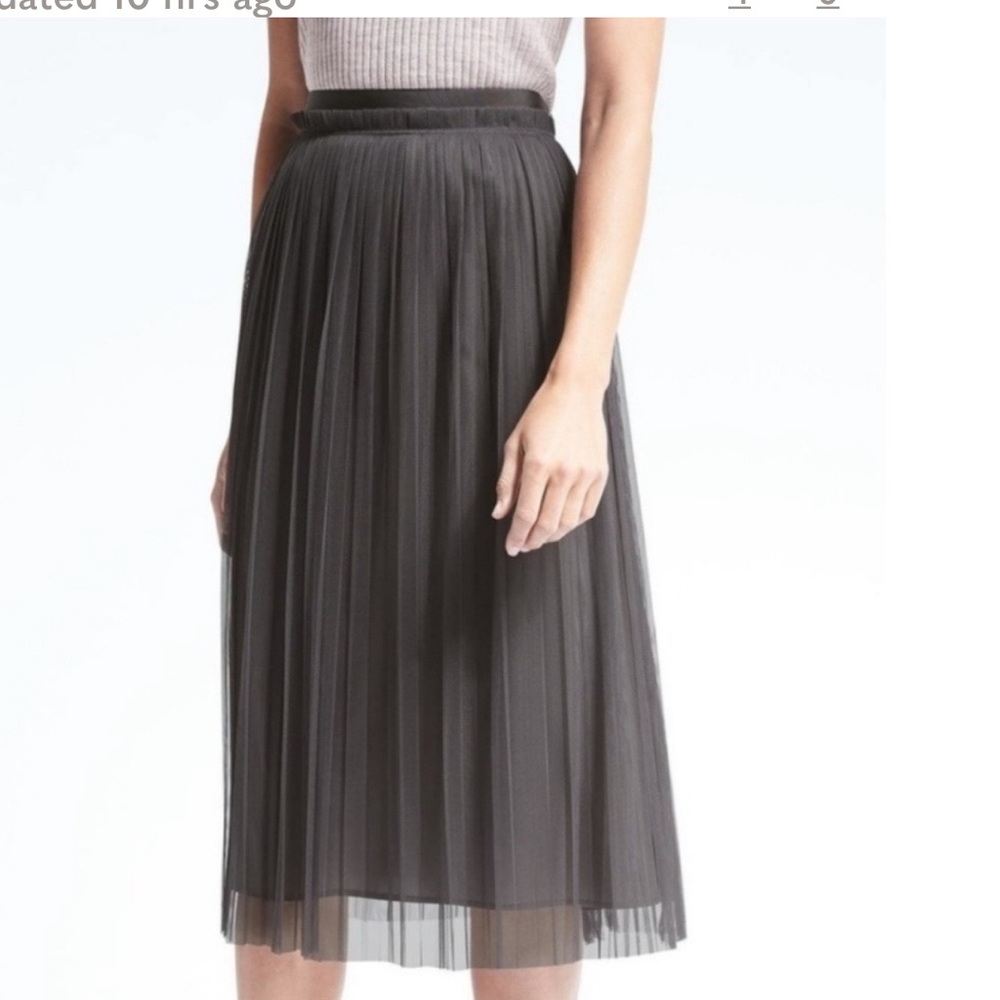 Banana Republic Pleated Tulle Skirt